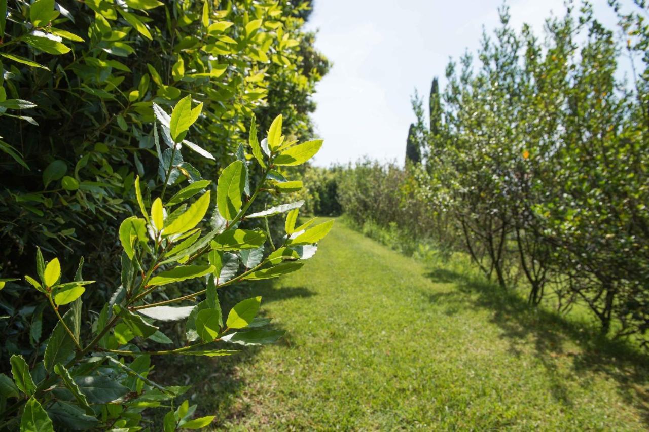 Appartamento Il Casale Di Giulia Sirolo Esterno foto